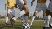 马斯里vs佩特雷姆今日直播在线观看-05-09-埃及杯比分-咪咕体育